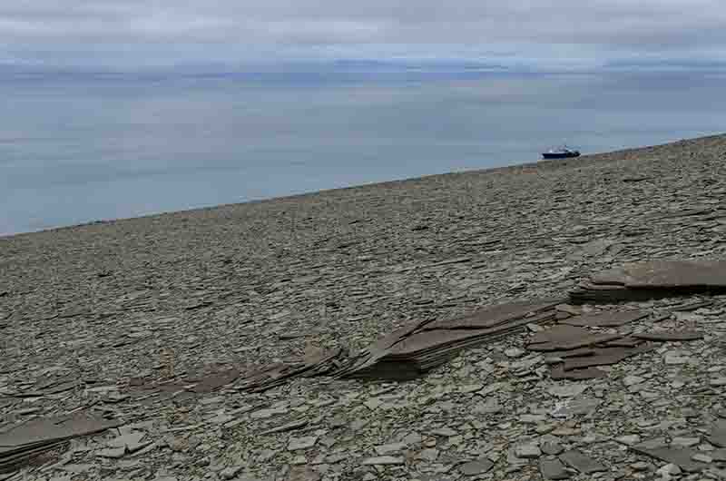 110 - Noruega - islas Svalbard - isla de Edgeoya - Kapp Lee